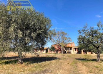 Foto 5 - Rustico 2, Corropoli - foto 5