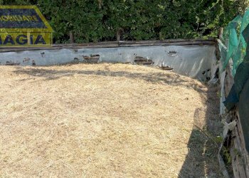 Foto 12 - Casa indipendente 52, Castel di Lama - foto 12