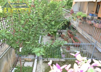 Foto 10 - Trilocale 5, Castel di Lama - foto 10