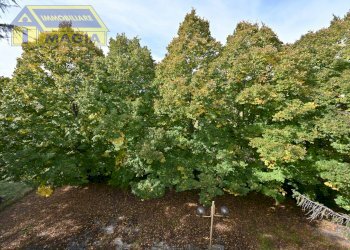 Foto 41 - Villa 56, Colli del Tronto - foto 41