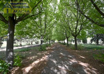 Foto 48 - Villa 56, Colli del Tronto - foto 48