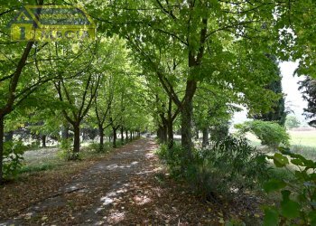 Foto 51 - Villa 56, Colli del Tronto - foto 51