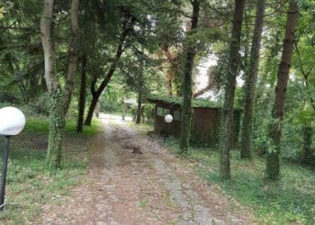 Foto 15 - Villa Ascoli Piceno - foto 15