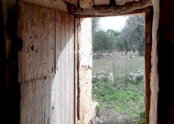 Foto 5 - Baita Contrada Cotogni
 
snc, San Michele Salentino - foto 5