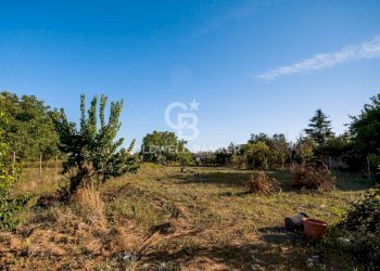 Foto 6 - Terreno edificabile via Brindisi, Mesagne - foto 6