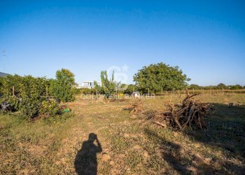 Foto 11 - Terreno edificabile via Brindisi, Mesagne - foto 11