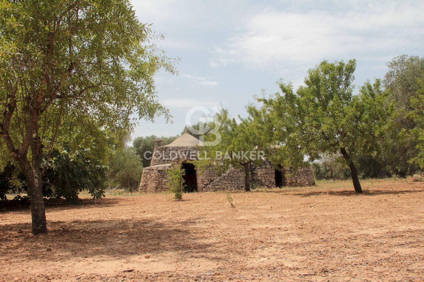 Foto 2 - Baita c.da Gaeta Piccolo
 
sn, San Vito dei Normanni - photo 2
