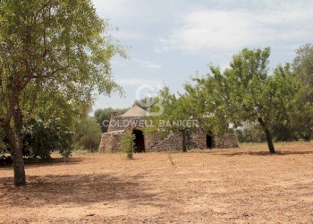 Foto 2 - Baita c.da Gaeta Piccolo
 
sn, San Vito dei Normanni - photo 2