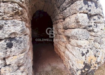 Foto 4 - Baita c.da Gaeta Piccolo
 
sn, San Vito dei Normanni - photo 4