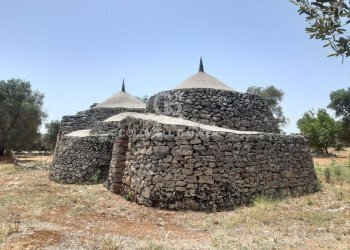 Foto 7 - Baita c.da Gaeta Piccolo
 
sn, San Vito dei Normanni - photo 7