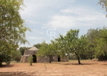 Foto 11 - Baita c.da Gaeta Piccolo
 
sn, San Vito dei Normanni - photo 11