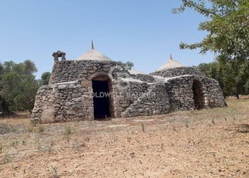 Foto 12 - Baita c.da Gaeta Piccolo
 
sn, San Vito dei Normanni - photo 12