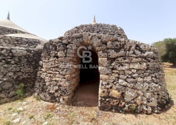 Foto 13 - Baita c.da Gaeta Piccolo
 
sn, San Vito dei Normanni - photo 13