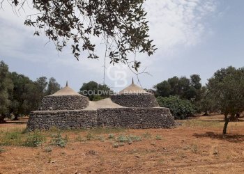 Foto 15 - Baita c.da Gaeta Piccolo
 
sn, San Vito dei Normanni - photo 15