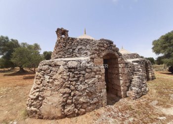 Foto 17 - Baita c.da Gaeta Piccolo
 
sn, San Vito dei Normanni - photo 17