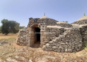 Foto 18 - Baita c.da Gaeta Piccolo
 
sn, San Vito dei Normanni - photo 18