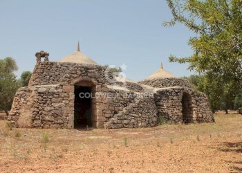 Foto 19 - Baita c.da Gaeta Piccolo
 
sn, San Vito dei Normanni - photo 19