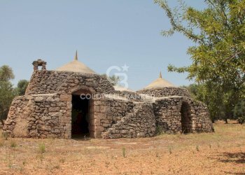 Foto 20 - Baita c.da Gaeta Piccolo
 
sn, San Vito dei Normanni - photo 20