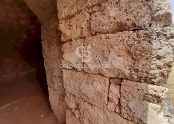 Foto 24 - Baita c.da Gaeta Piccolo
 
sn, San Vito dei Normanni - photo 24