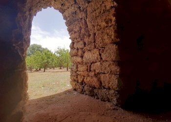 Foto 29 - Baita c.da Gaeta Piccolo
 
sn, San Vito dei Normanni - photo 29