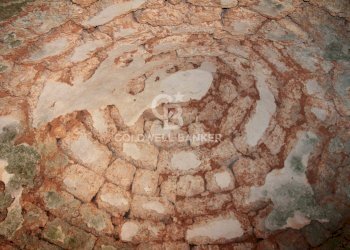 Foto 43 - Baita c.da Gaeta Piccolo
 
sn, San Vito dei Normanni - photo 43