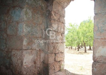 Foto 44 - Baita c.da Gaeta Piccolo
 
sn, San Vito dei Normanni - photo 44