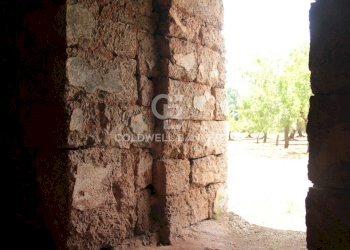 Foto 45 - Baita c.da Gaeta Piccolo
 
sn, San Vito dei Normanni - photo 45