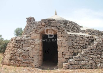 Foto 49 - Baita c.da Gaeta Piccolo
 
sn, San Vito dei Normanni - photo 49