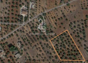 Foto 54 - Baita c.da Gaeta Piccolo
 
sn, San Vito dei Normanni - photo 54