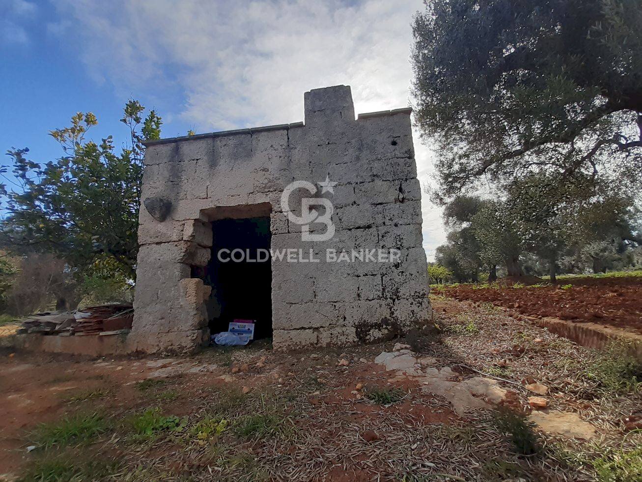 Foto 1 - Terreno agricolo c.da Gaeta Piccolo
 
sn, San Vito dei Normanni - foto 1