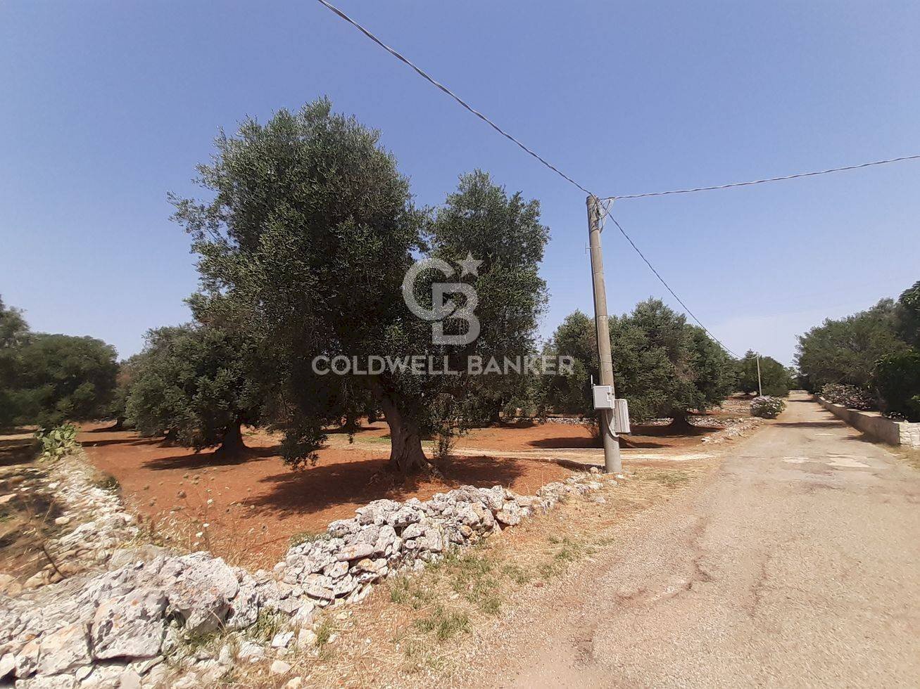 Foto 2 - Terreno agricolo c.da Gaeta Piccolo
 
sn, San Vito dei Normanni - foto 2