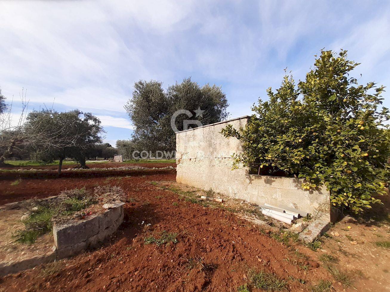 Foto 3 - Terreno agricolo c.da Gaeta Piccolo
 
sn, San Vito dei Normanni - foto 3