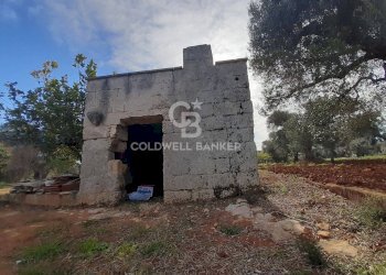 Foto 1 - Terreno agricolo c.da Gaeta Piccolo
 
sn, San Vito dei Normanni - foto 1