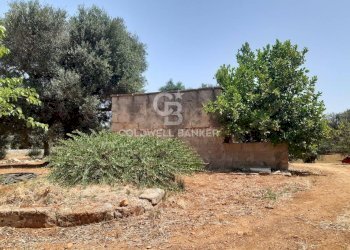 Foto 20 - Terreno agricolo c.da Gaeta Piccolo
 
sn, San Vito dei Normanni - foto 20