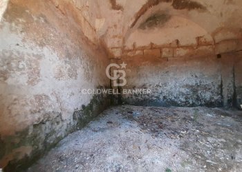 Foto 25 - Terreno agricolo c.da Gaeta Piccolo
 
sn, San Vito dei Normanni - foto 25