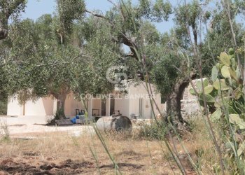 Foto 36 - Terreno agricolo c.da Gaeta Piccolo
 
sn, San Vito dei Normanni - foto 36