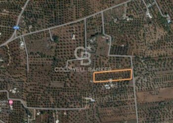 Foto 37 - Terreno agricolo c.da Gaeta Piccolo
 
sn, San Vito dei Normanni - foto 37