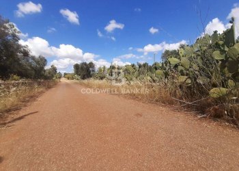 Foto 7 - Terreno agricolo Contrada Signoranna, San Vito dei Normanni - foto 7