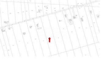 Foto 18 - Terreno agricolo Contrada Signoranna, San Vito dei Normanni - foto 18