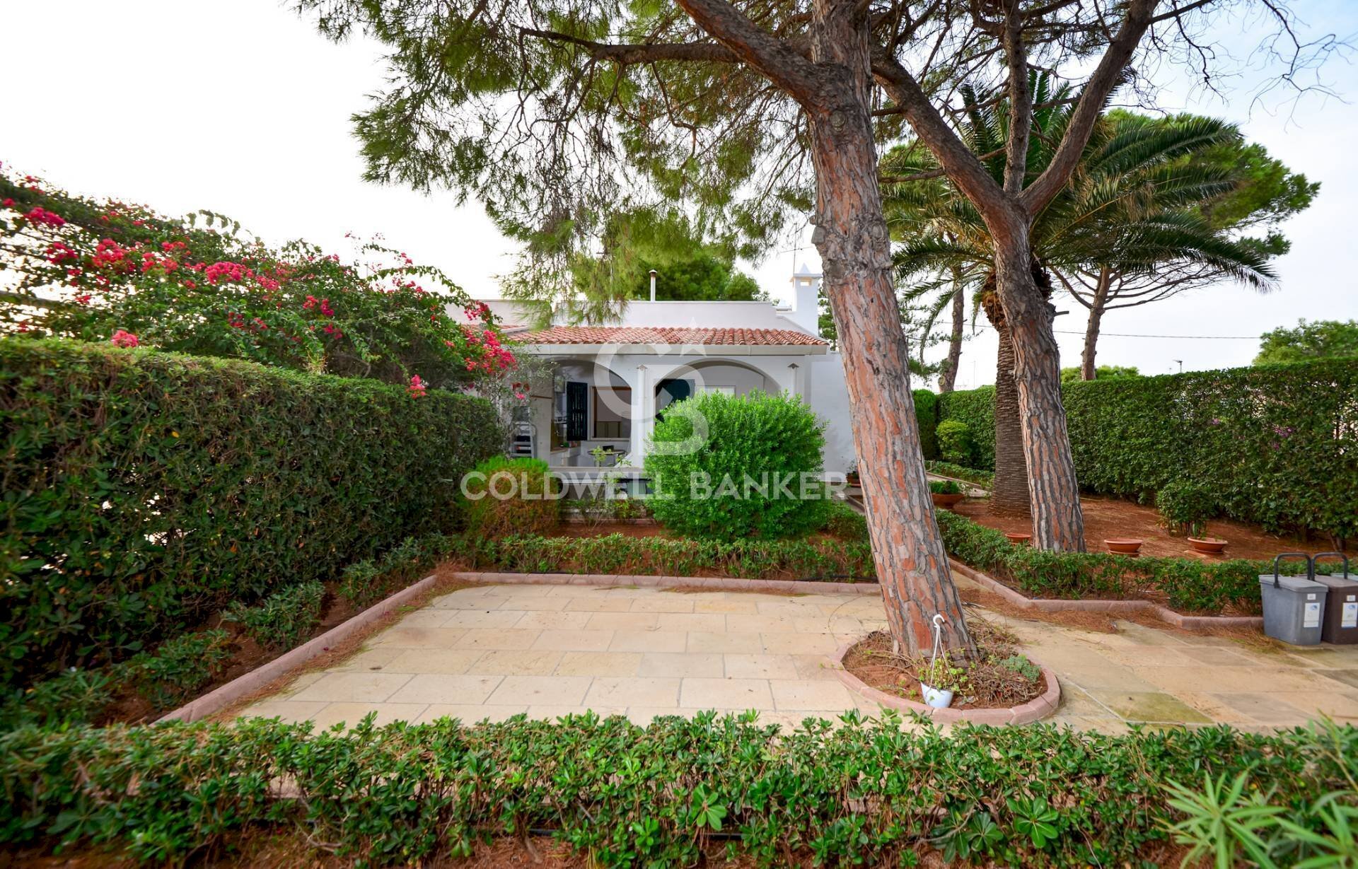 Foto 3 - Villa Contrada Monticelli
 
60B, Ostuni - foto 3