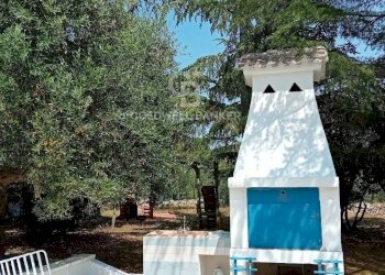 Foto 39 - Baita C.da Calongo
 
34, Cisternino - foto 39