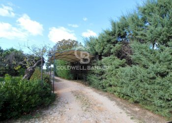 Foto 41 - Baita C.da Calongo
 
34, Cisternino - foto 41