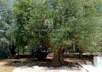 Foto 44 - Baita C.da Calongo
 
34, Cisternino - foto 44