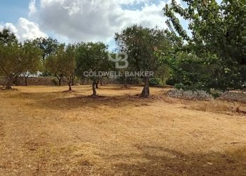 Foto 50 - Baita C.da Calongo
 
34, Cisternino - foto 50