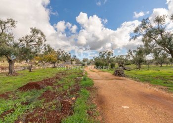 Foto 9 - Baita Contrada Maresca
 
SN, Carovigno - foto 9