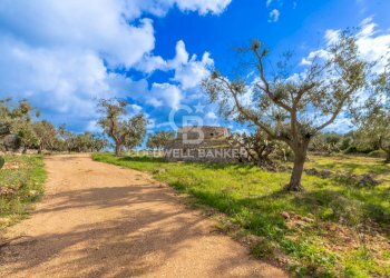 Foto 10 - Baita Contrada Maresca
 
SN, Carovigno - foto 10