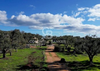 Foto 22 - Baita Contrada Maresca
 
SN, Carovigno - foto 22