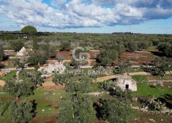 Foto 26 - Baita Contrada Maresca
 
SN, Carovigno - foto 26