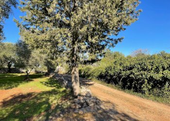 Foto 6 - Baita C.da Fedele Piccolo
 
snc, Ceglie Messapica - foto 6