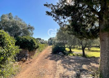 Foto 7 - Baita C.da Fedele Piccolo
 
snc, Ceglie Messapica - foto 7